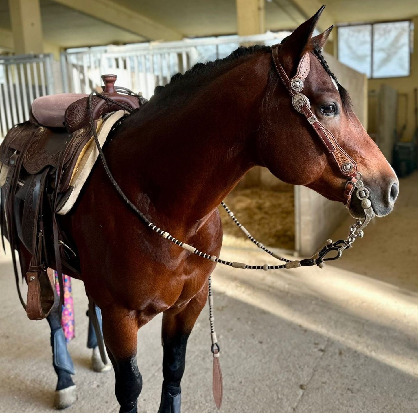 Hand-Braided Romal Reins, Romal Reins California Style, Romal Reins 10 Plaits, Romal Reins Regular 55" with rein connectors,