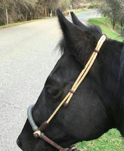 Horse Bosal Hanger, Hand Braided Bosal Hanger, Bosal Hanger Natural & Dark Cherry Knot.