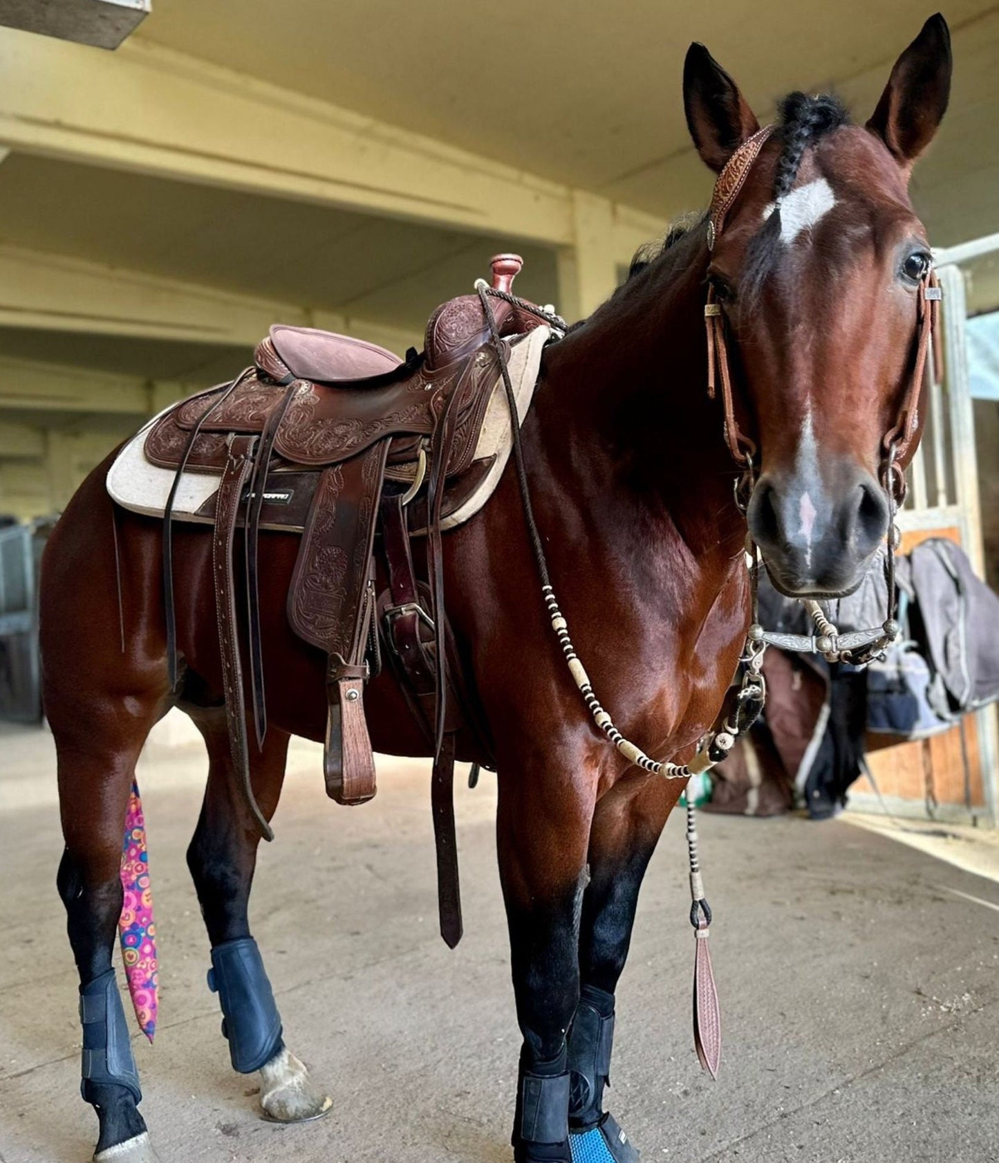 Hand-Braided Romal Reins, Romal Reins California Style, Romal Reins 10 Plaits, Romal Reins Regular 55" with rein connectors,