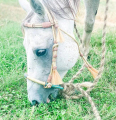 Hand-Crafted Natural Rawhide and Brown Knotted 16 Plaits Headstall with Mane Horse Hair Tassle.