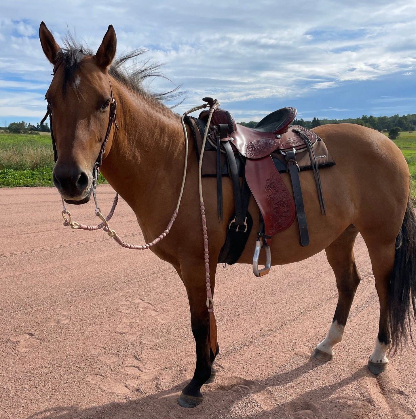 20 Plaits Romal Reins, 55" Romal Reins, Hand-Braided Romel Reins, Romel Reins Natural & Chestnut Cherry Rawhide,
