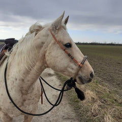 Handmade Bosal Set, 40 Plaits Rawhide Natural Bosal Set, Bosal Set Black Nylon Mecate Reins With Horse Hair Tassel.