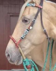 Western Horse Bosal, Natural & Cherry Rawhide Hackmore, 24 Plaits Braided Bosal, Bitless Western bosal.