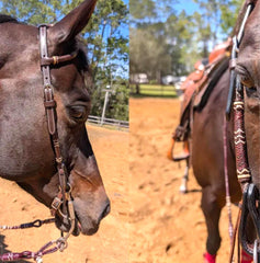 Western Leather One-ear Headstall, Brown Leather One Ear Headstall, One Ear Headstall With Dark Brown Rawhide Knot, Hand Braided Headstall.