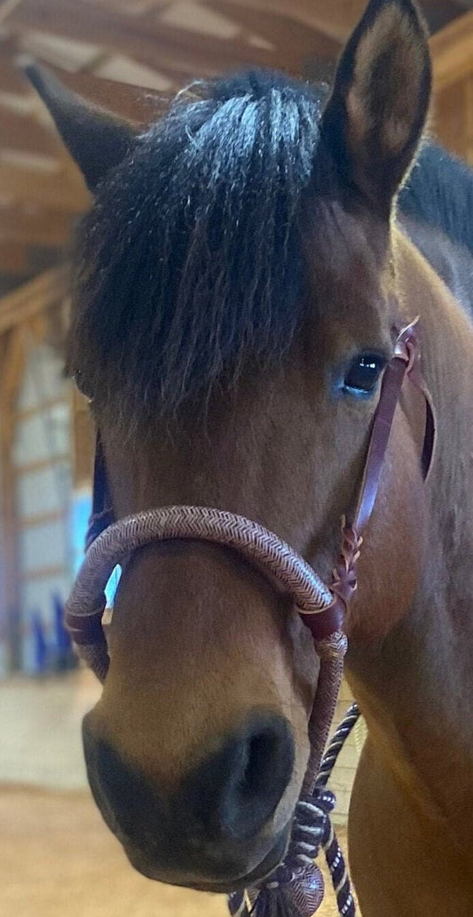 Horse Bosal Chestnut Cherry Cow Rawhide, 40 Plaits Bosal, 5/8" Thickness High-Quality Handmade Bosal, Bitless Hackamore, Sale For Only Bosal