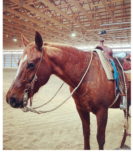 Romal Reins Natural Cow Rawhide, Romel 20 Plaits, Regular 55" Romal Reins, Specially Hand-Crafted Braided Reins.