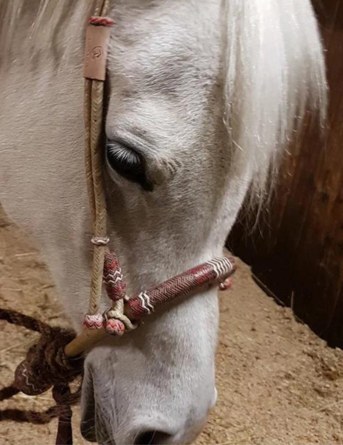 Handmade Bosal Set, 40 Plaits Rawhide Natural & Chestnut Cherry Bosal Set, Bosal Set With Brown Nylon Mecate Rein With Horse Hair Tassel.