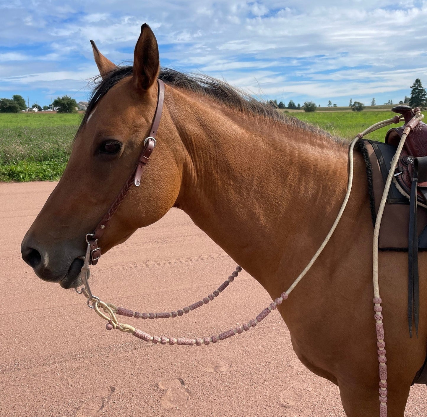 20 Plaits Romal Reins, 55" Romal Reins, Hand-Braided Romel Reins, Romel Reins Natural & Chestnut Cherry Rawhide,