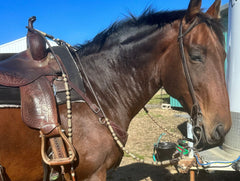 Romal Reins Dark Brown, 10 Plaits Romel Reins, 55" Romel Reins With Reins Connectors, Hand-Braided Romel Reins, Sale For Only Romal Reins.
