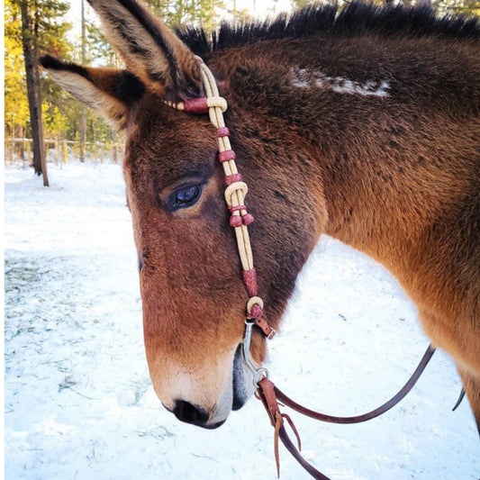 Hand-crafted headstall, Western Horse Headstall, Natural Rawhide Braided One-ear Headstall  With Chestnut Cherry Knot.