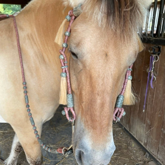 Hand-Braided High-Quality Romel Reins 20 Plaits Romal Reins Chestnut Cherry & Black Cow Rawhide, Sale For Only Romal Reins.