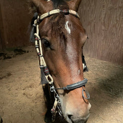 Hand-Crafted Headstall, Natural Rawhide Headstall, Black Knotted 16 Plaits Headstall, Mane Horse Hair Tassels Headstall.