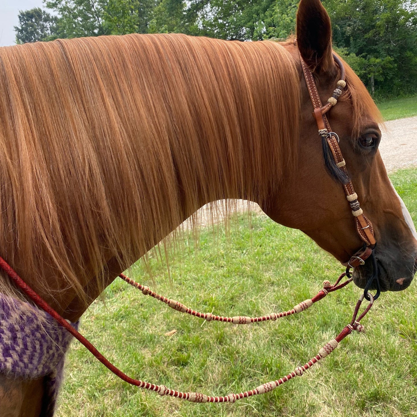 20 Plaits Romal Reins California Style, Romal Reins Chestnut Cherry Rawhide, 55" With Reins Connectors, Specially Hand-Crafted Braided Reins
