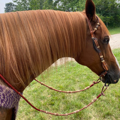 20 Plaits Romal Reins California Style, Romal Reins Chestnut Cherry Rawhide, 55" With Reins Connectors, Specially Hand-Crafted Braided Reins