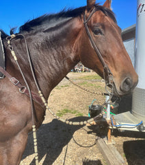 Romal Reins Dark Brown, 10 Plaits Romel Reins, 55" Romel Reins With Reins Connectors, Hand-Braided Romel Reins, Sale For Only Romal Reins.