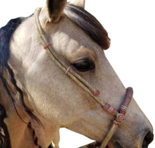 Handmade Bosal Set, 40 Plaits Rawhide Natural & Chestnut Cherry Bosal Set, Bosal Set With Brown Nylon Mecate Rein With Horse Hair Tassel.