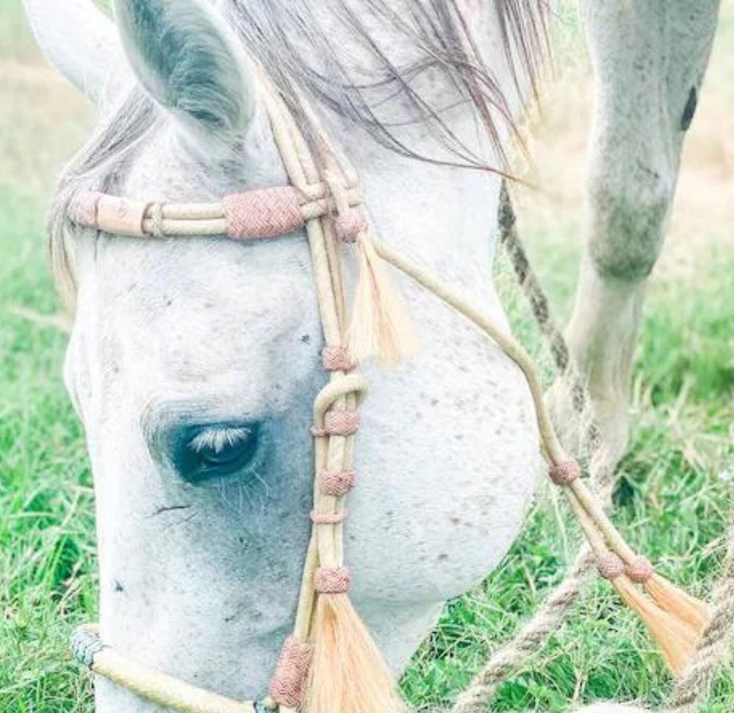 Romel Reins 20 plait With Rawhide Headstall Set, Regular 55" Rawhide Romal Reins, Chestnut Cherry Rawhide Romal Reins With Headstall Set.