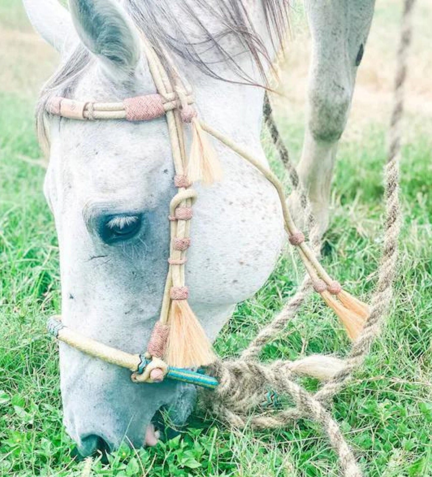 Hand-crafted Bosal, Horse Bosal Natural & Turquoise, 28 Plaits Rawhide Bosal, 5/8" Thickness High-Quality Bosal, Sale For Only Bosal