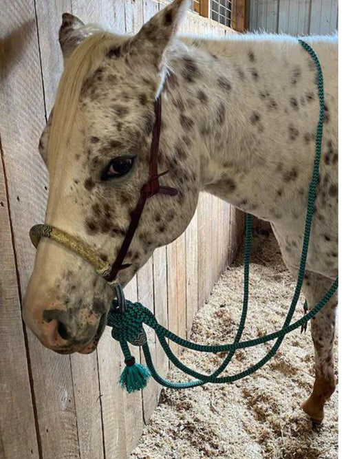 Hand-crafted Bosal, Horse Bosal Natural & Turquoise, 28 Plaits Rawhide Bosal, 5/8" Thickness High-Quality Bosal, Sale For Only Bosal